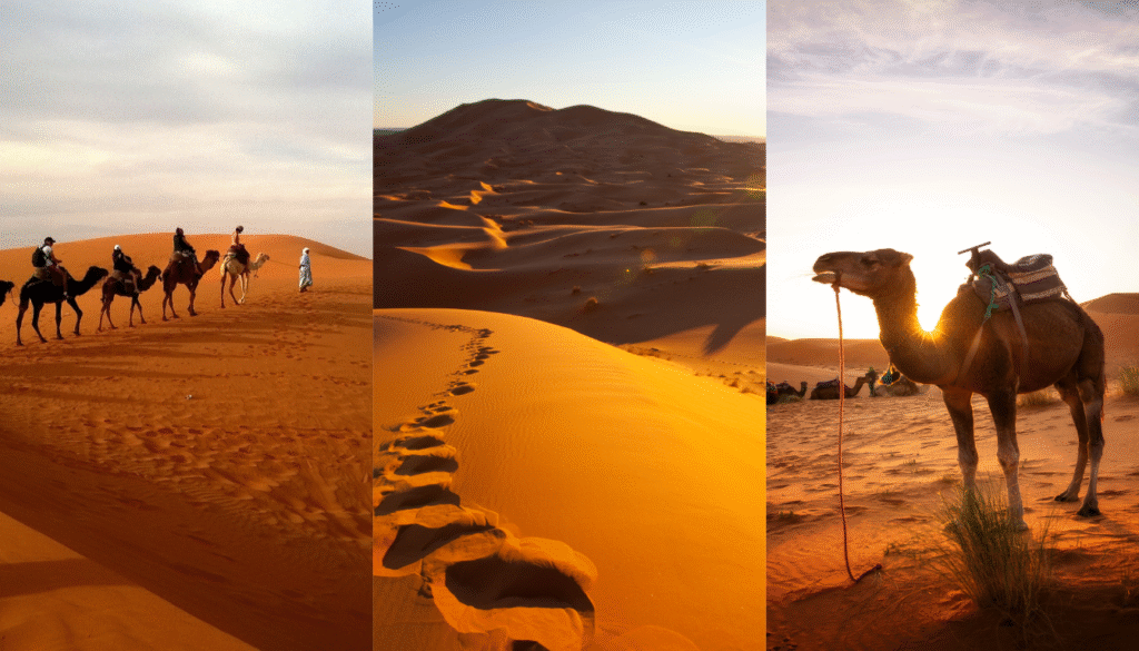 Sahara Desert Experience