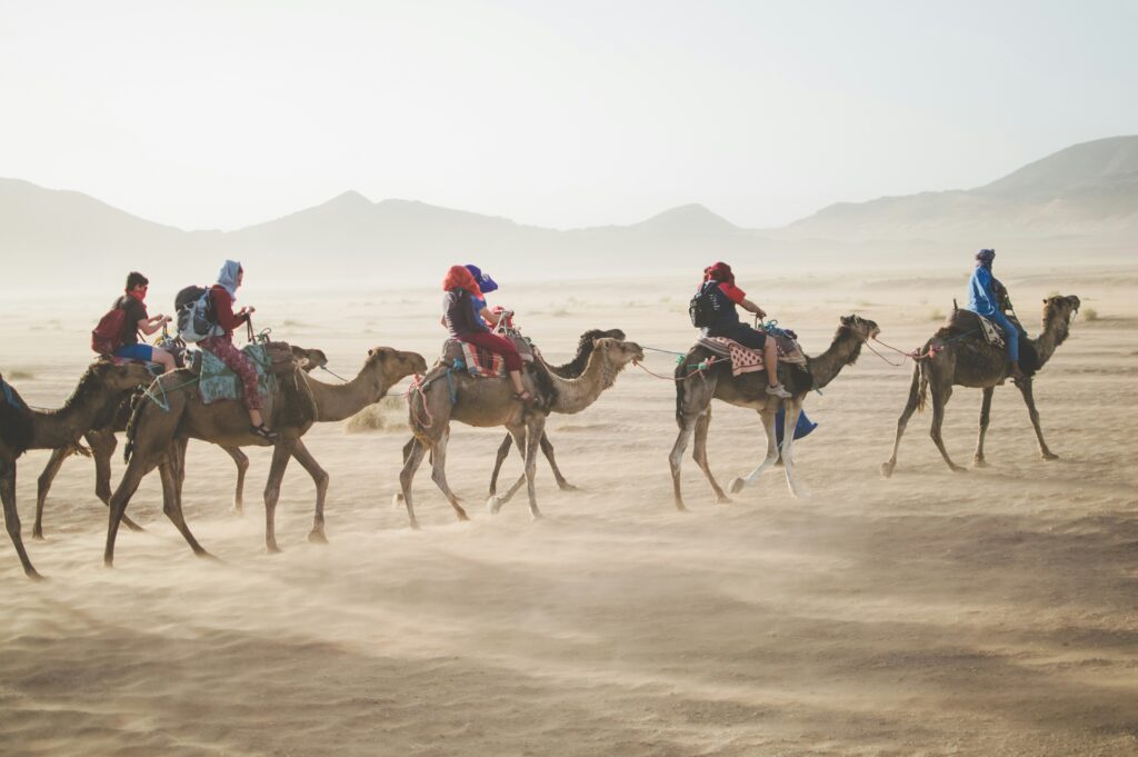 morocco festivals