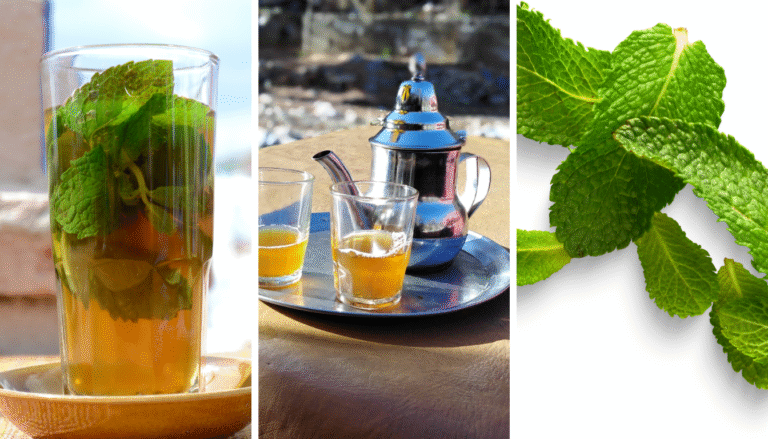 Mint Tea morocco