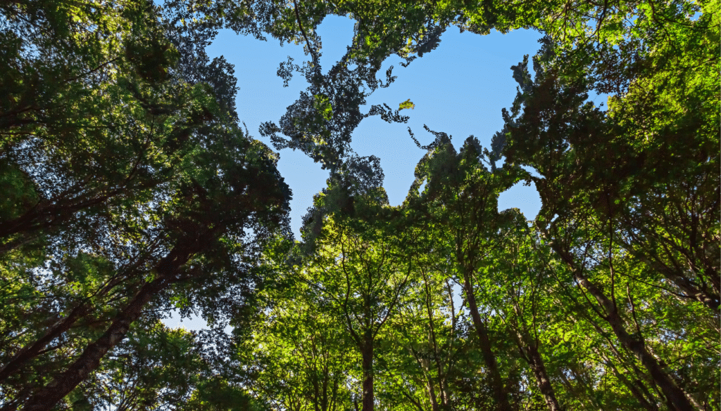 environmental conservation initiatives morocco