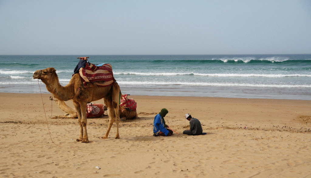 things to do in Agadir