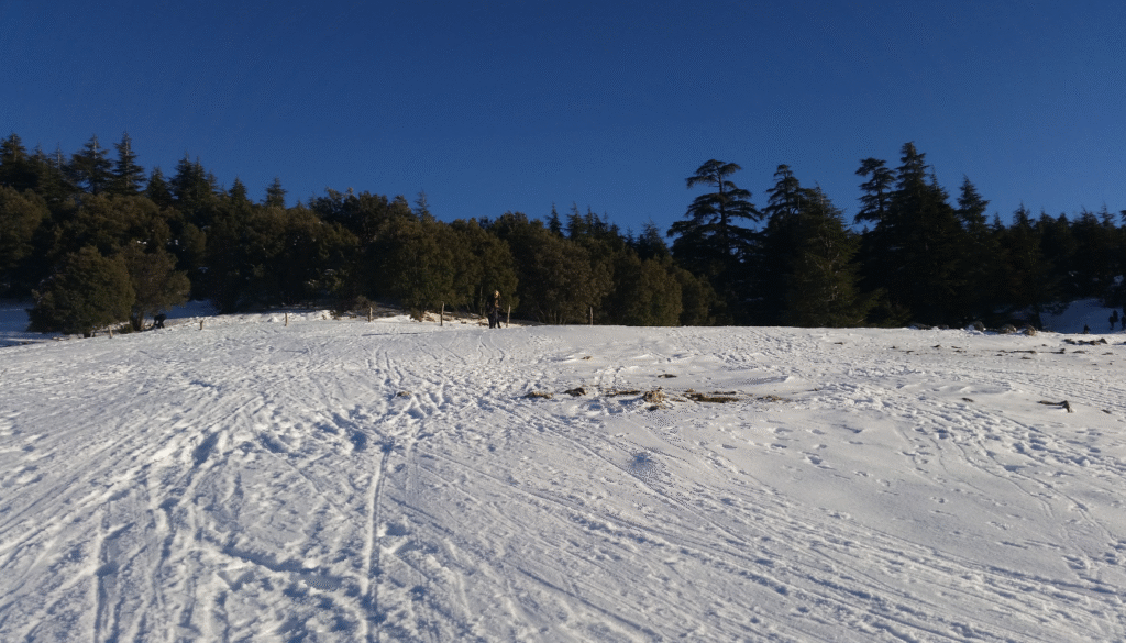 Ifrane Snow Activities