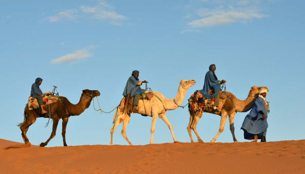 ouarzazate desert